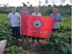 江西生物科技职业学院教师赴赣州市宁都县开展乡村振兴产业调研