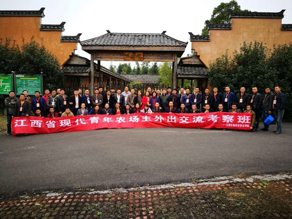 点击浏览下一页