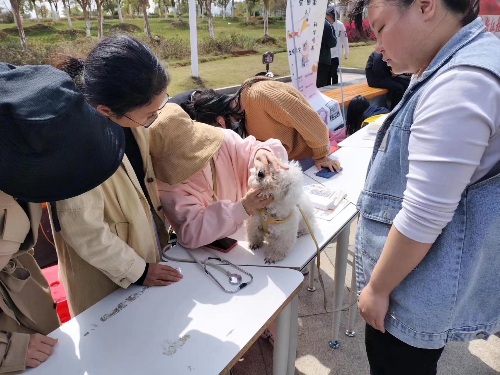学雷锋,送温暖,科普文明养宠知识——动物科学系开展文明养宠知识科普宣传团日活动-江西生物科技职业学院